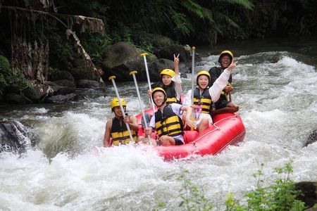 Ubud White Water Rafting Adventure 