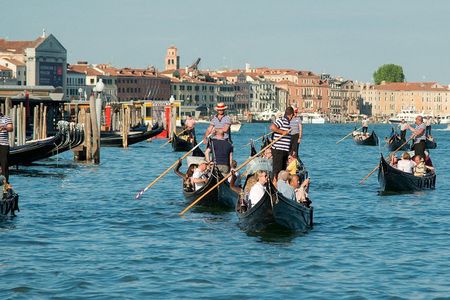 Venice Sightseeing Walking Tour with a Local Guide 