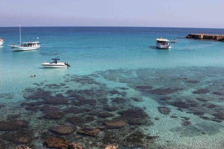 Cruise and 4X4 Safari Tour at Akamas Peninsula from Limassol