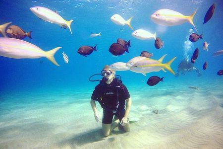 Discover Scuba Diving