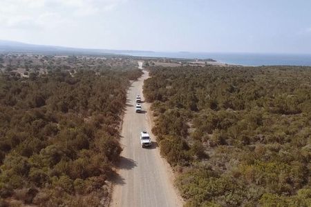 Half day Safari Tour to Akamas Peninsula from Paphos