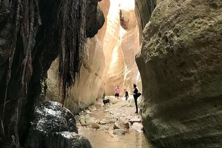 Half day Safari Tour to Akamas Peninsula from Paphos