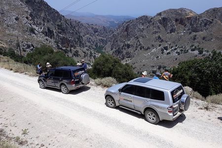 Wine & Olive Oil Tour with Lunch - Semi Private Safari Tour 