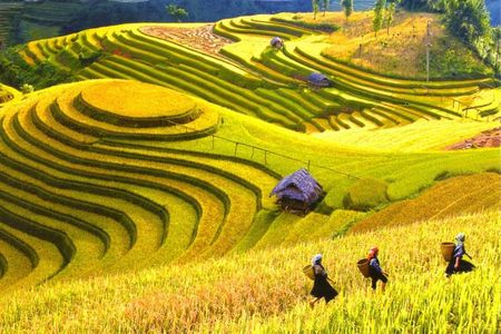 2 Days 1 night Sapa Tour from Hanoi by Limousine/Sleeper bus