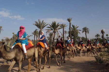 Experience Quad Bikes Camel Ride