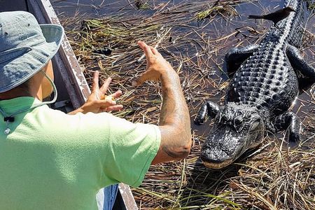Air boat Ride and Nature Walk in Everglades National Park