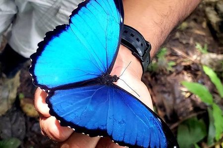 Ecuador Treasures Bucket List 8 Days Tour