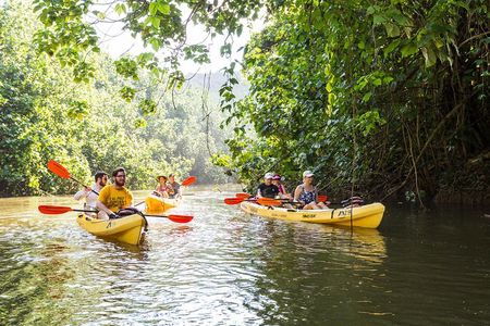 Wailua River Paddle