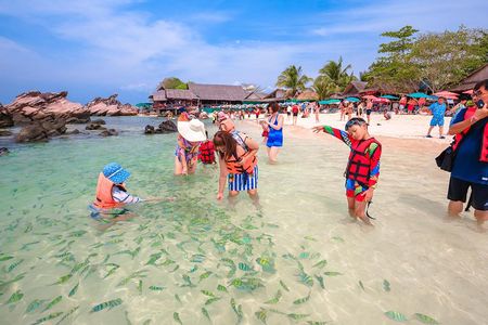 Phi Phi Island from Phuket by Speedboat (SHA Plus)
