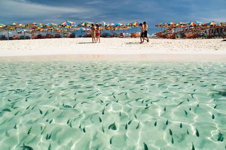  Khai Island Half Day Tour by Speedboat from Phuket (SHA Plus)