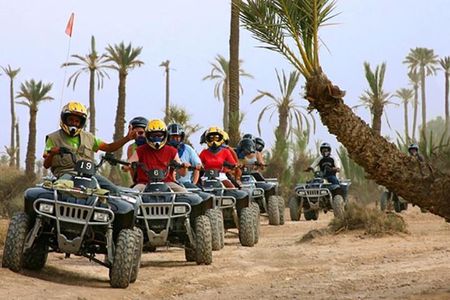 Quad bike and camel ride in the palm grove