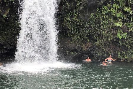 Small-Group Road to Hana Adventure Tour with Pickup & Lunch
