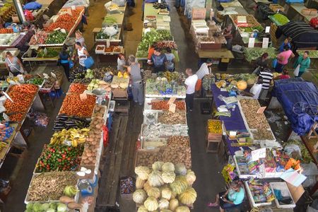 Mini Island Tour of Trinidad