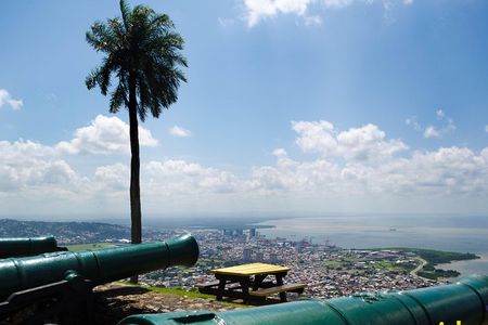Port of Spain and Fort George Sightseeing Tour