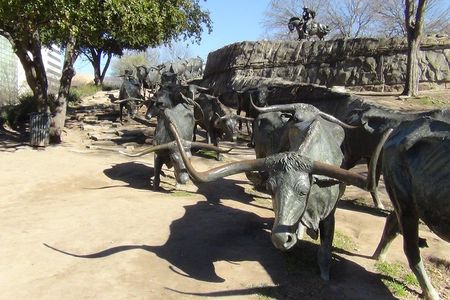 Dallas and Fort Worth City Sightseeing Tour Small-Group