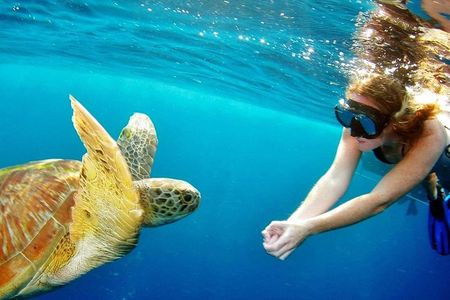 Explore Surin Islands: Ultimate Snorkeling Day Trip from Phuket