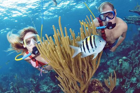 SNUBA at Catalina Island