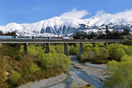 Arthur's Pass National Park Day Tour with TranzAlpine Train