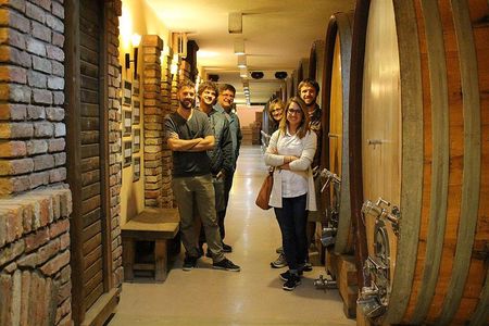 Small Group Wine Tour in Sumadija Wine Region