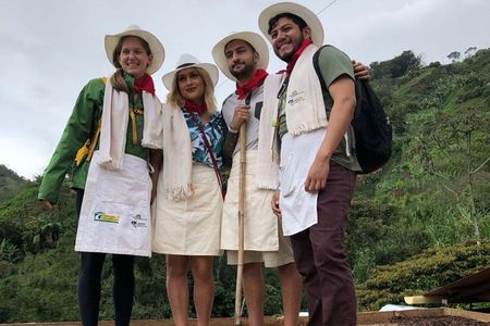 Full-Day Coffee Tour to Palmitas farm w/transport from Medellín