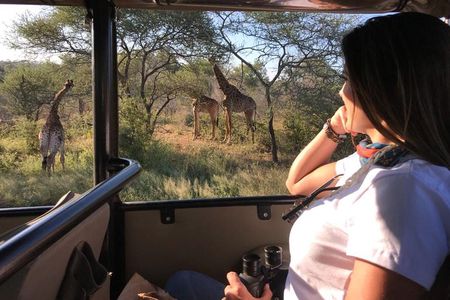 Kruger Safari Tour - Full Day