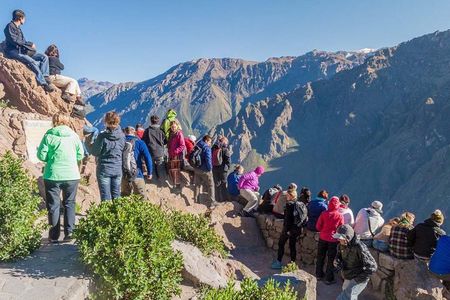 Colca Full Day 