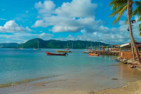 Martinique Shore Excursion - Authentic Tour of Southern Martinique