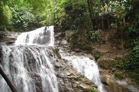 Veragua Rainforest Eco-Adventure + Aerial Tram + Tortuguero Canal