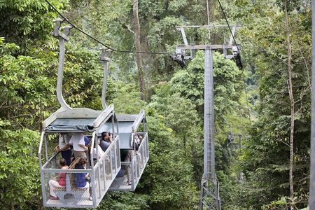 Veragua Rainforest Eco-Adventure & Aerial Tram Experience