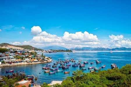 Private Nha Trang Day Tour From Nha Trang Port - Shore Excursion