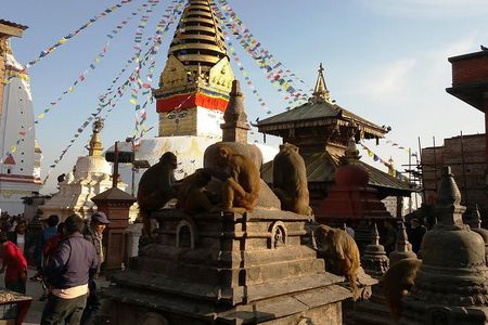 Private Kathmandu Sightseeing Tour 4 UNESCO World Heritage Sites