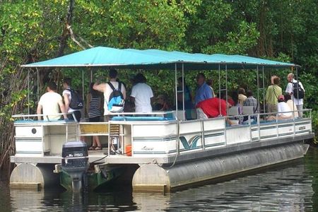 Private Black River Safari Tour from Montego Bay