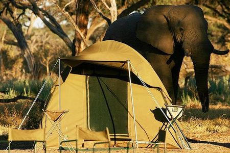 Chobe Camping 1day & 1night