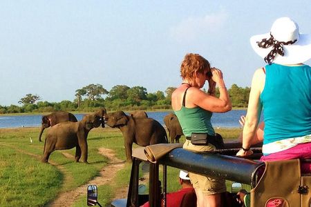 VALUE PACK! One Day Safari Tour to Yala and Udawalawa Parks
