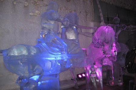 Chena Hot Springs Day Tour