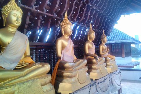 Colombo Walking Tour With Ayurvedic Learning