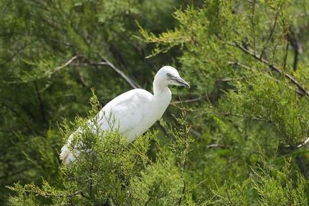 Karnala Bird Sanctuary Excursion From Mumbai