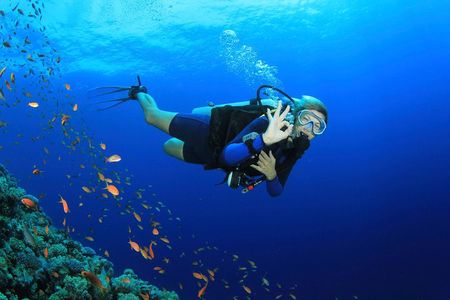 Discover Scuba diving with 2 dives on Koh Tao 