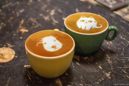 Coffee pleasure walking tour