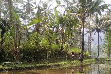 Mount Batur to Ubud – Light Off Road Cycling Adventure