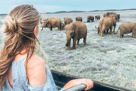 Kandy - Minneriya National park & Sigiriya Rock Fortress (Tours & Entrance fees)