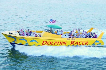 St. Pete Beach Dolphin Racer Adventure