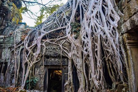 Angkor Wat 1Day Tour With Sunrise