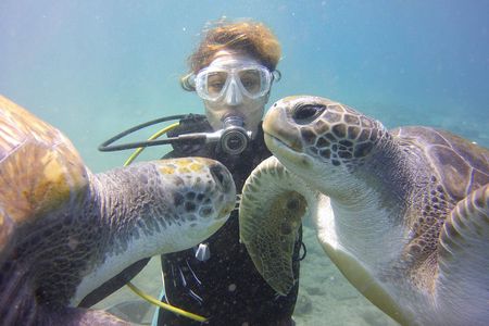 Scuba Diving Beginner's Session in Costa Adeje