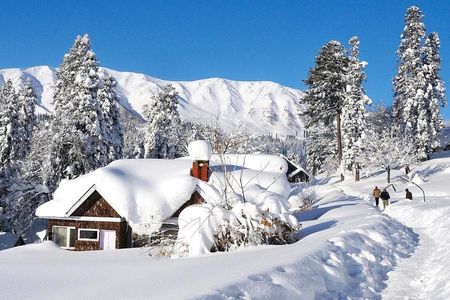 Day Excursion To Gulmarg From Srinagar With Lunch