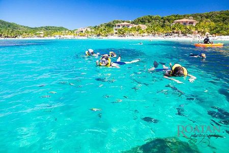 Roatan Excursion: Beach Break/ Plus Sloth Park and Snorkel Adventure 