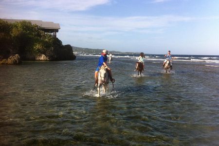Roatan Excursion: Horseback Ride / Plus Sloth Park and Glass Bottom Boat