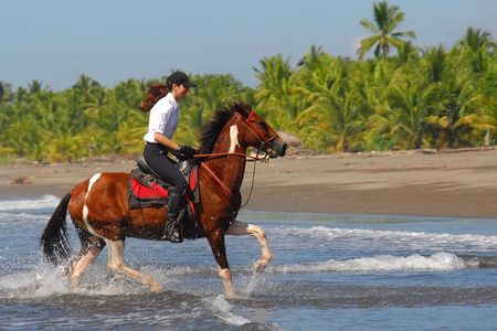 Personalized Beach Adventure Near Jaco