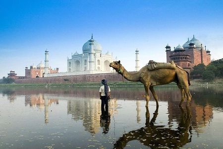 Private Taj Mahal Sunrise Tour from delhi by car All inclusive
