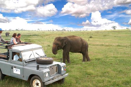 Udawalawe National Park Adventure